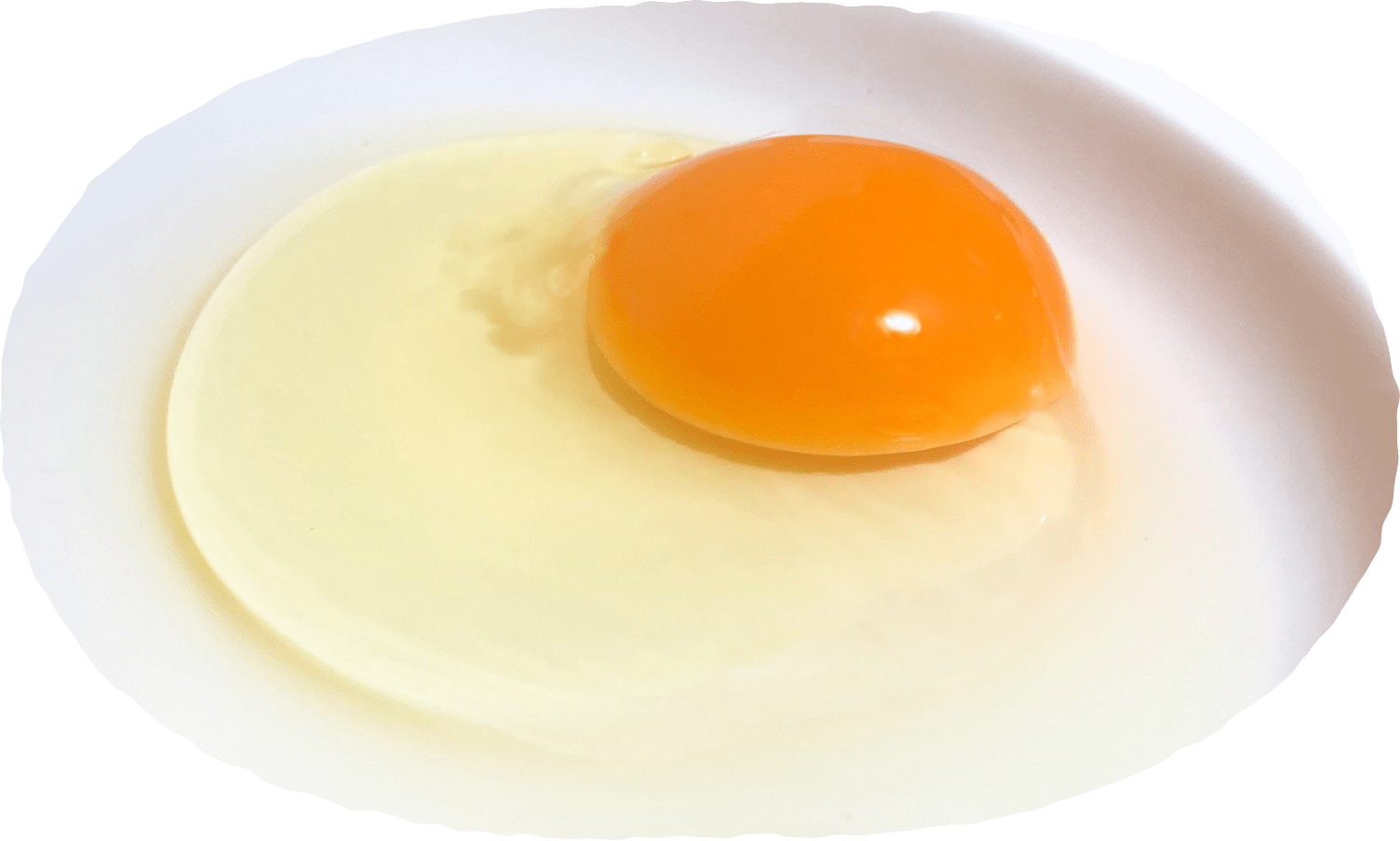 新鮮な割った卵のイメージ